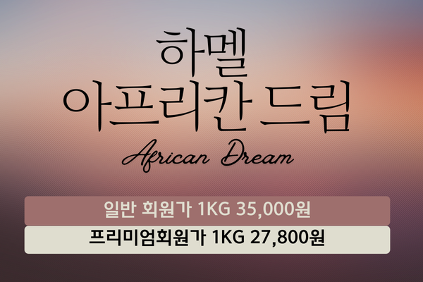 하멜 아프리칸 드림(10Kg)