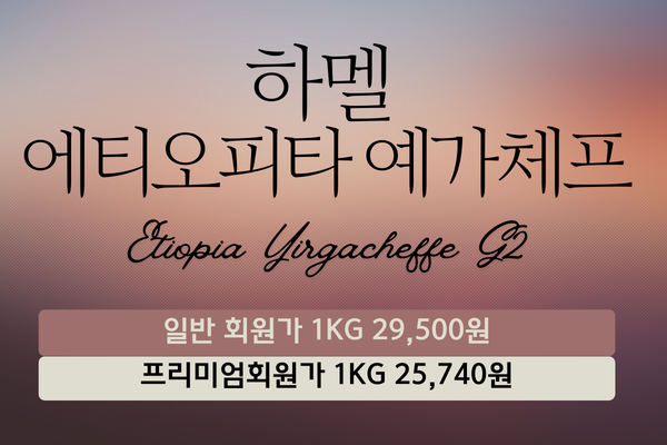 하멜 에티오피아 예가체프(10Kg)